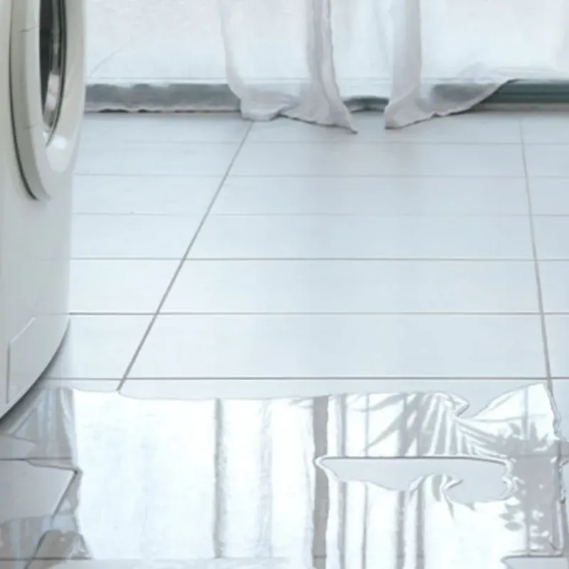 Appliance Leak Cleanup in Saint Henry, OH