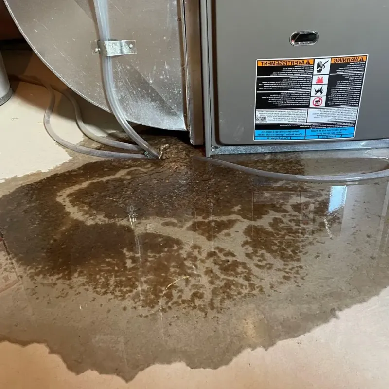 Pipe Burst and Leak Restoration in Saint Henry, OH