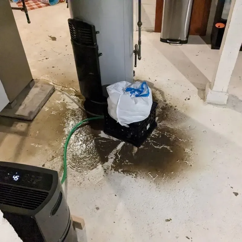 Sewage Backup Cleanup Service in Saint Henry, OH